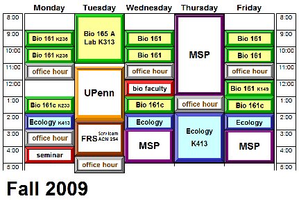 My Courses
