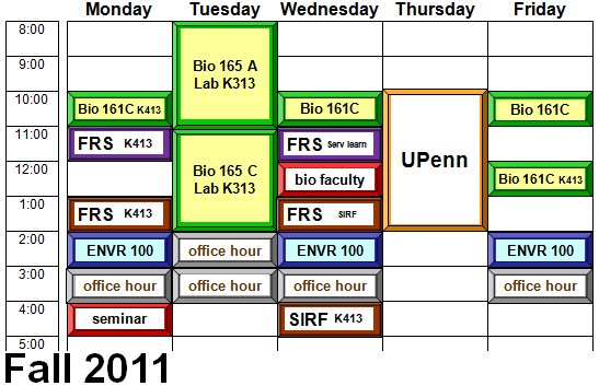 My Courses