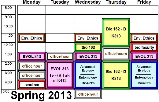 My Courses
