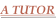 shapeimage_2_link_1