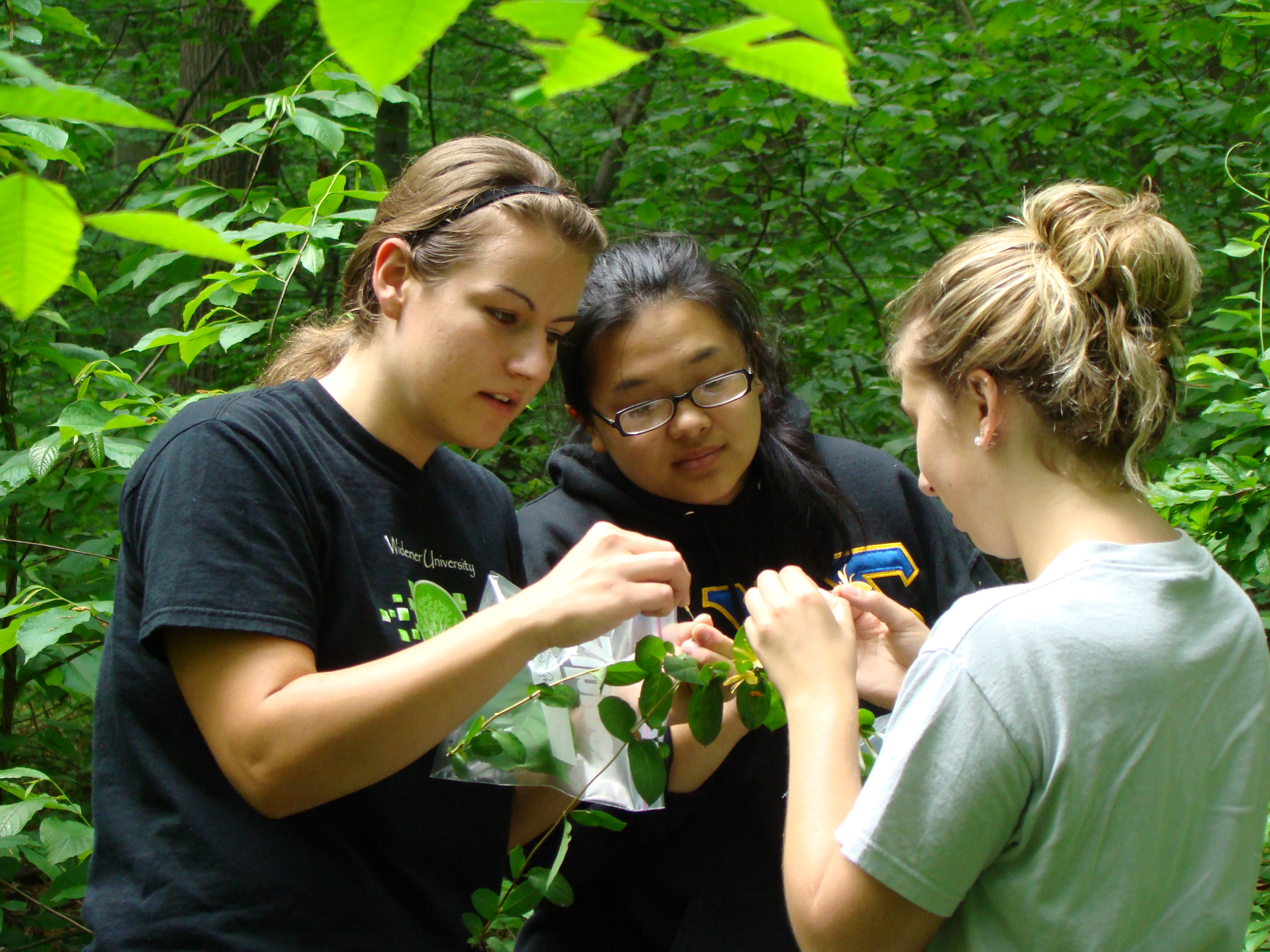 Field work summer 2010.jpg