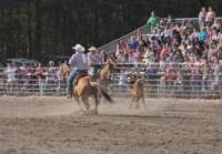 img_1878_small.jpg
